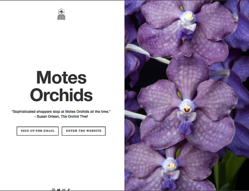 Martin Motes on Growing Orchids in South Florida