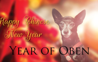 Chinese New Year 2018 Year of the Earth Dog