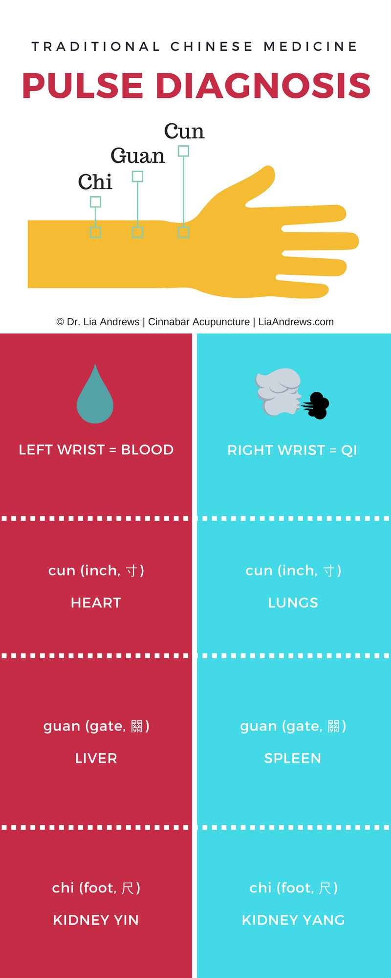 pulse-diagnosis-dr-lia-andrews